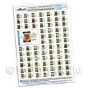 Album Photo vegetable-seed-packets-a4-paper.jpg