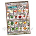 Album Photo webbs-seeds-set-1-a4-PAPER.jpg