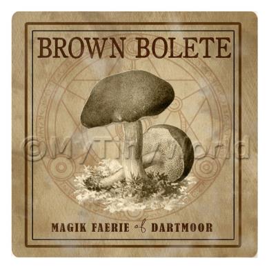 Album Photo peppery-bolete.jpg