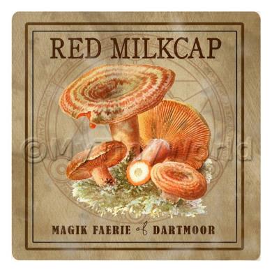 Album Photo peppery-bolete.jpg