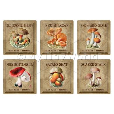 Album Photo pigskin-puffball-nc-ncbox.jpg