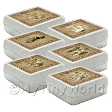 Album Photo square-colour-set-1.jpg
