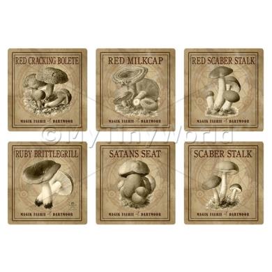 Album Photo square-colour-set-7.jpg
