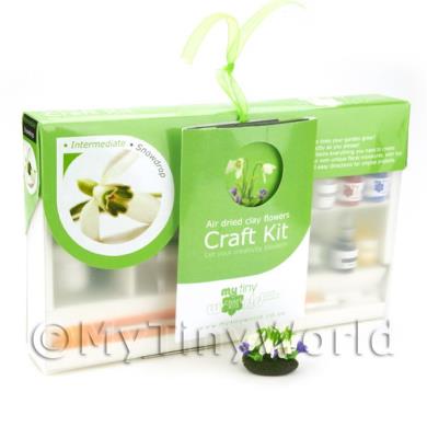 Album Photo miniature-flower-kit-20.jpg