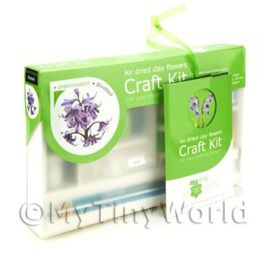 Album Photo miniature-flower-kit-02.jpg