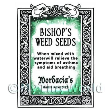 Album Photo witches-pack-5-samples.jpg