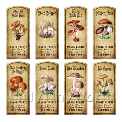 Album Photo aged-herb-no-colour-short-set6-lbl.jpg