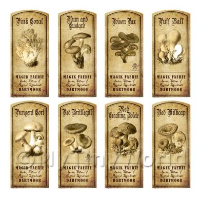 Album Photo mushroom-bottle-nc-full-set-lbl.jpg