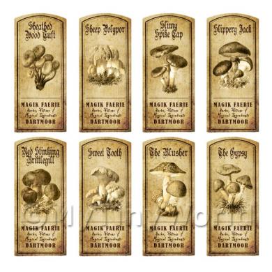 Album Photo aged-herb-colour-short-set6-lbl.jpg