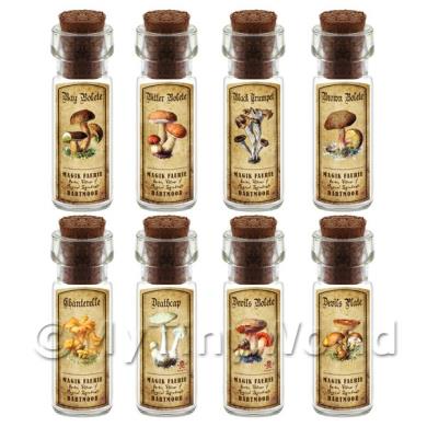 Album Photo aged-herb-no-colour-short-set4-lbl.jpg