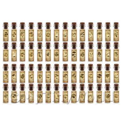 Album Photo mushroom-bottle-nc-set-7-lbl.jpg