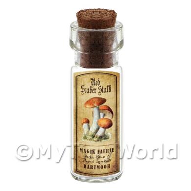 Album Photo mushroom-bottle-c-set-1-lbl.jpg