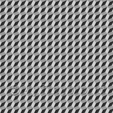 Album Photo 15755_12th_flooring.jpg