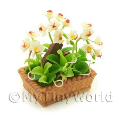 Album Photo mini-flower-bed-24.jpg