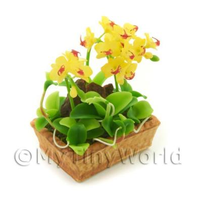 Album Photo mini-flower-bed-27.jpg