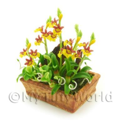 Album Photo mini-flower-bed-08.jpg