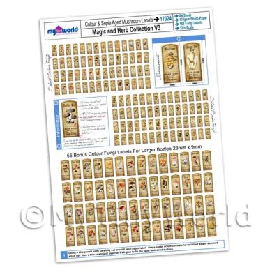 Album Photo webbs-seeds-both-a4-paper.jpg