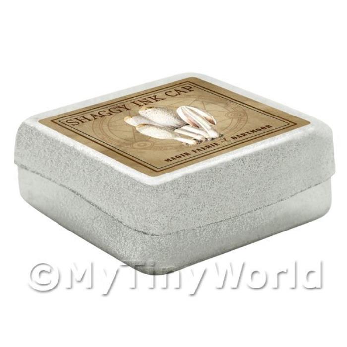 Dolls House Miniature Apothecary Shaggy Ink Cap Fungi Colour Box