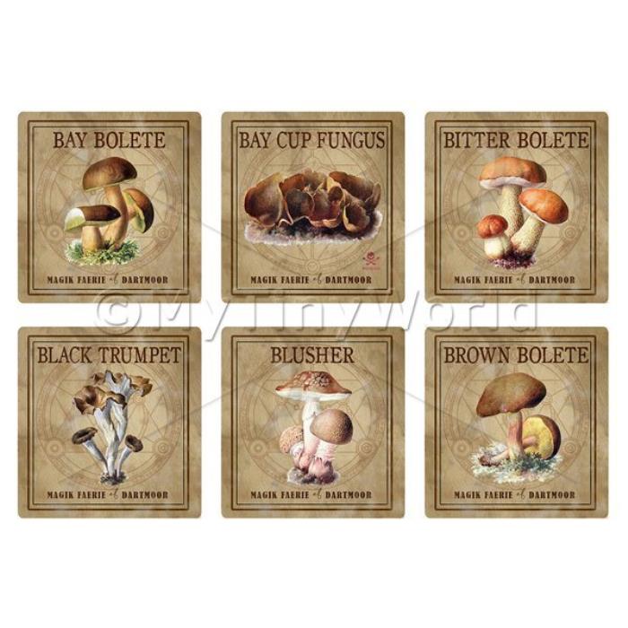 Dolls House Miniature Apothecary Fungi Square Colour Box Label Set 1