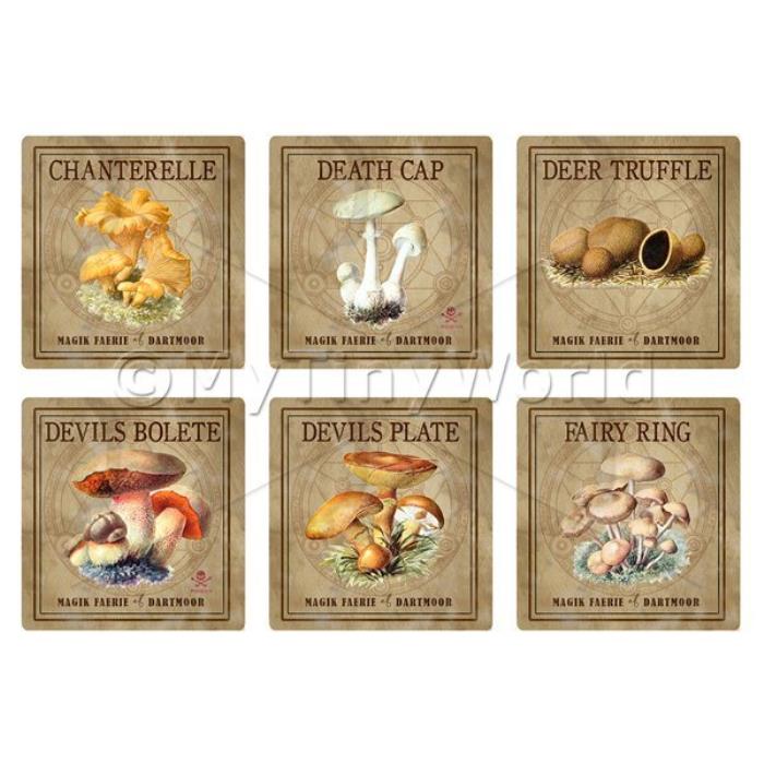 Dolls House Miniature Apothecary Fungi Square Colour Box Label Set 2