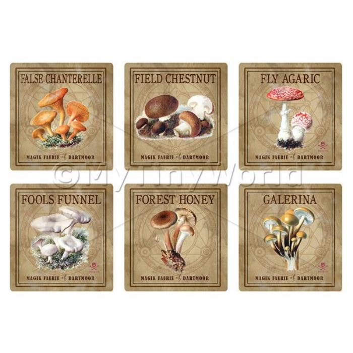 Dolls House Miniature Apothecary Fungi Square Colour Box Label Set 3
