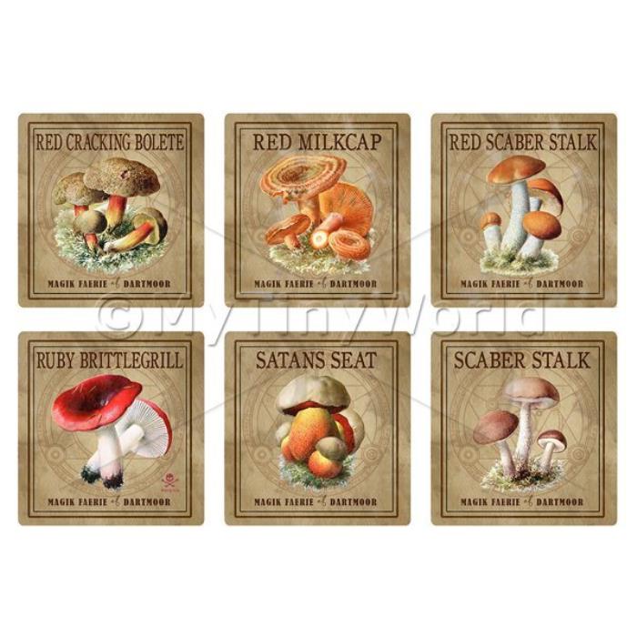 Dolls House Miniature Apothecary Fungi Square Colour Box Label Set 7