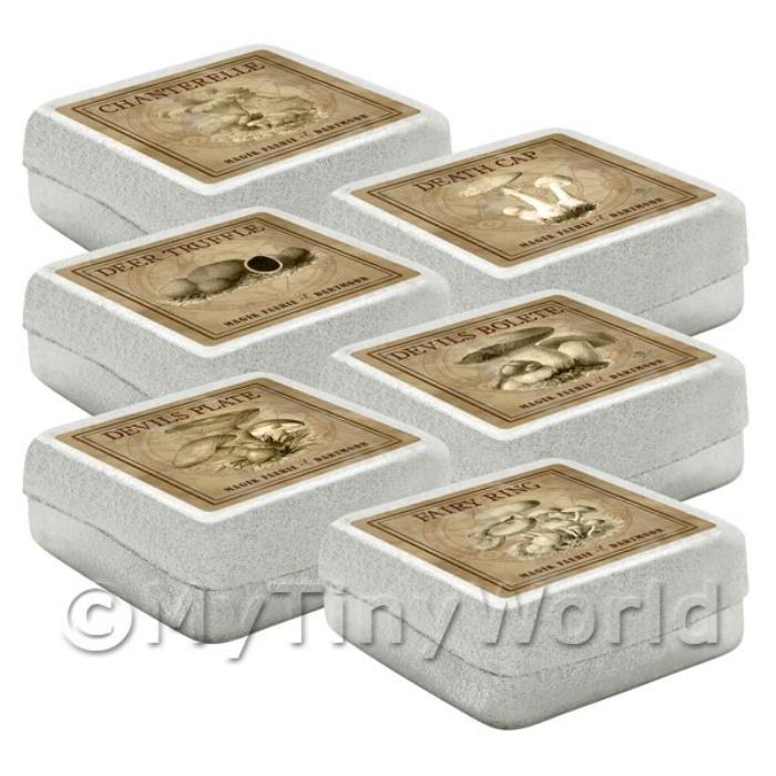 Dolls House Miniature Apothecary Fungi Square Sepia Box Set 2