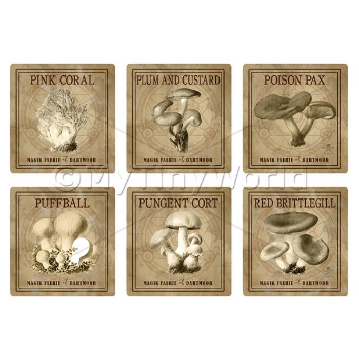 Dolls House Miniature Apothecary Fungi Square Sepia Box Label Set 6