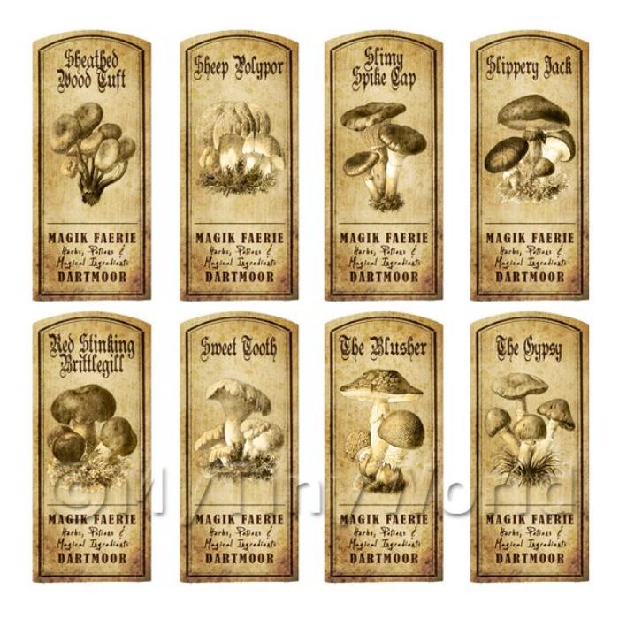Dolls House Miniature Apothecary 8 Fungus / Mushroom Labels Set 6