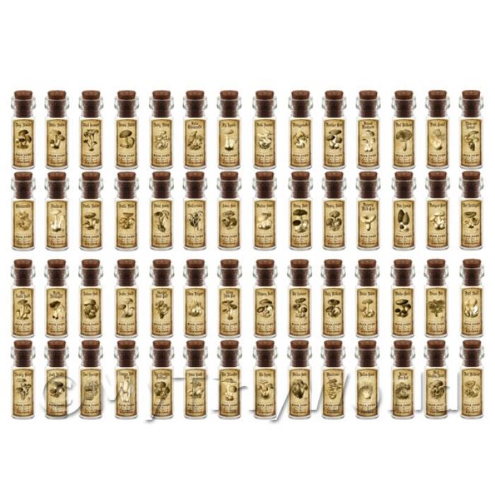 Dolls House Miniature Apothecary Set of 56 Fungi / Toadstall Bottles And Labels