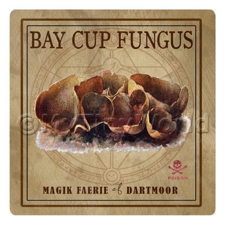 Dolls House Miniature Apothecary Bay Cup Fungus Box Colour Label