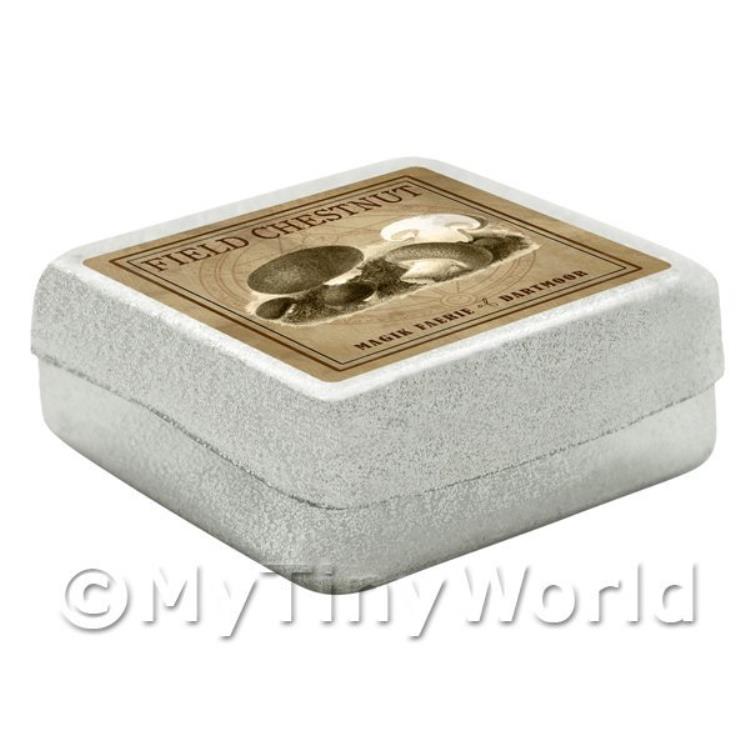 Dolls House Miniature Apothecary Field Chestnut Fungi Sepia Box