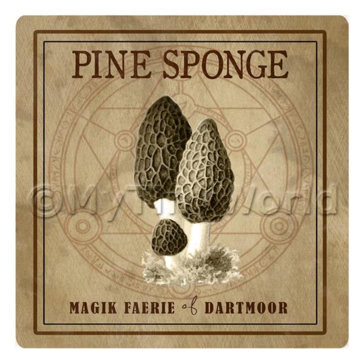 Dolls House Miniature Apothecary Pine Sponge Fungi Sepia Box Label