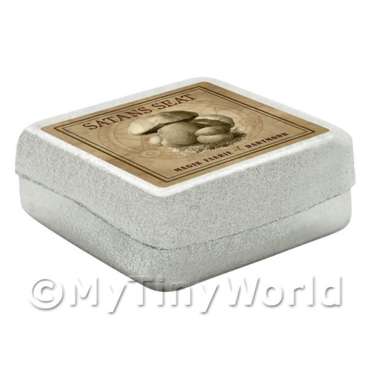 Dolls House Miniature Apothecary Satan Seat Fungi Sepia Box