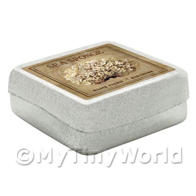 Dolls House Miniature Apothecary Sea Sponge Fungi Colour Box