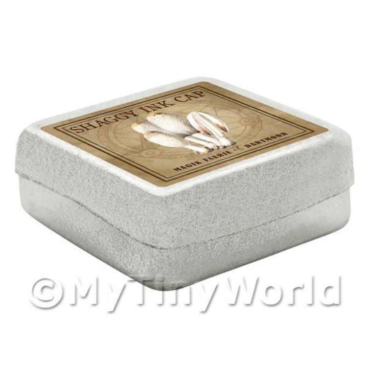 Dolls House Miniature Apothecary Shaggy Ink Cap Fungi Colour Box