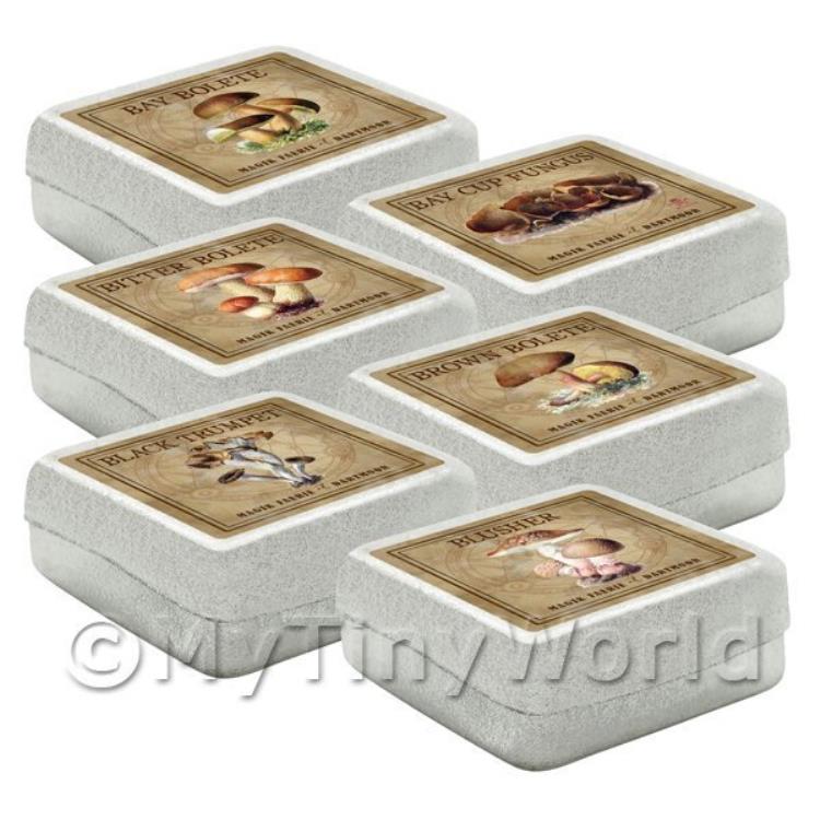 Dolls House Miniature Apothecary Fungi Square Colour Box Set 1
