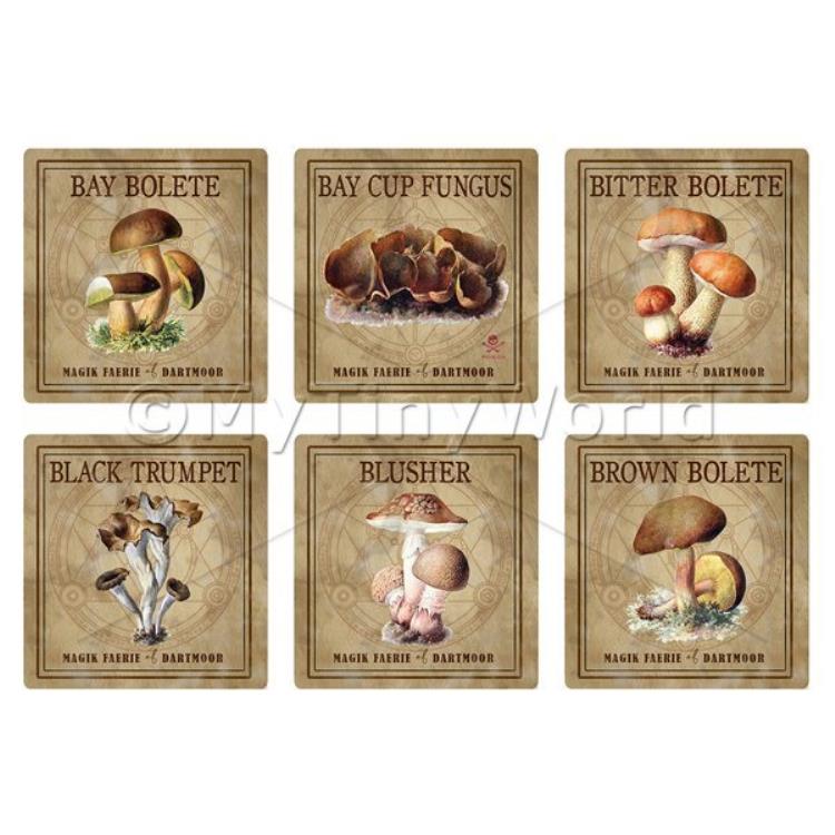 Dolls House Miniature Apothecary Fungi Square Colour Box Label Set 1