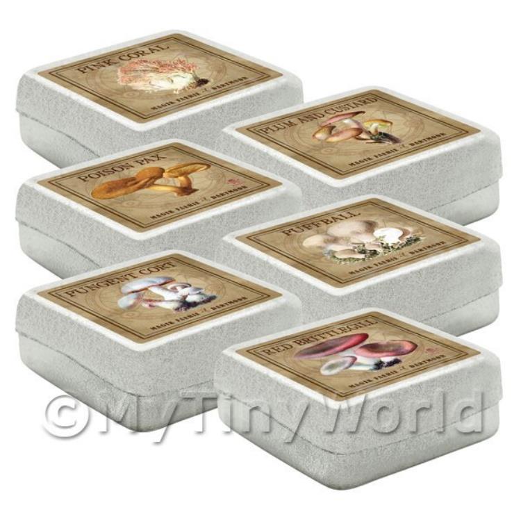 Dolls House Miniature Apothecary Fungi Square Colour Box Set 6
