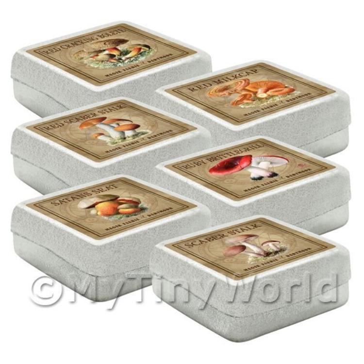 Dolls House Miniature Apothecary Fungi Square Colour Box Set 7