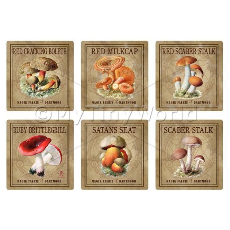 Dolls House Miniature Apothecary Fungi Square Colour Box Label Set 7