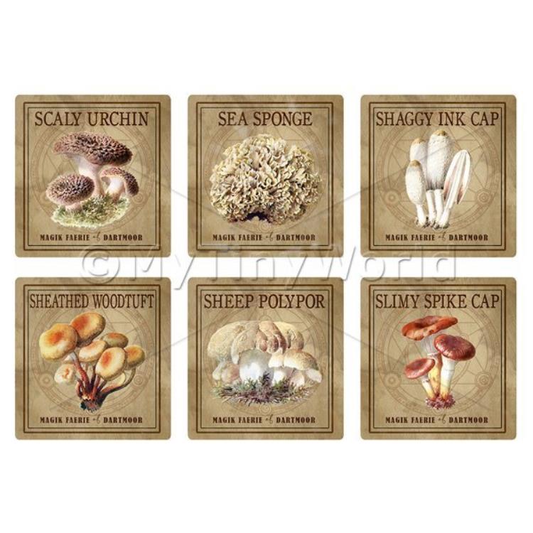 Dolls House Miniature Apothecary Fungi Square Colour Box Label Set 8