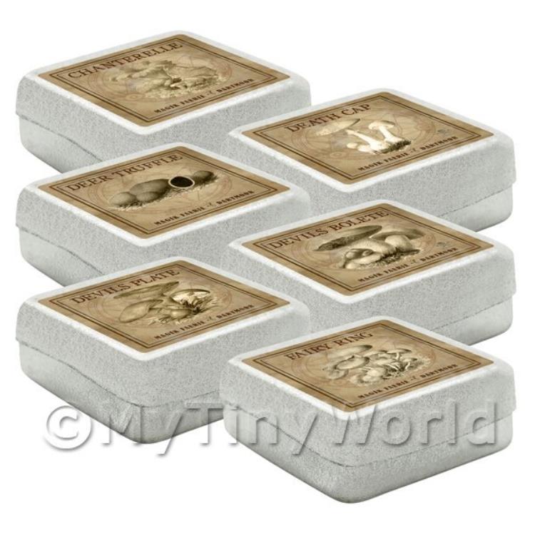 Dolls House Miniature Apothecary Fungi Square Sepia Box Set 2