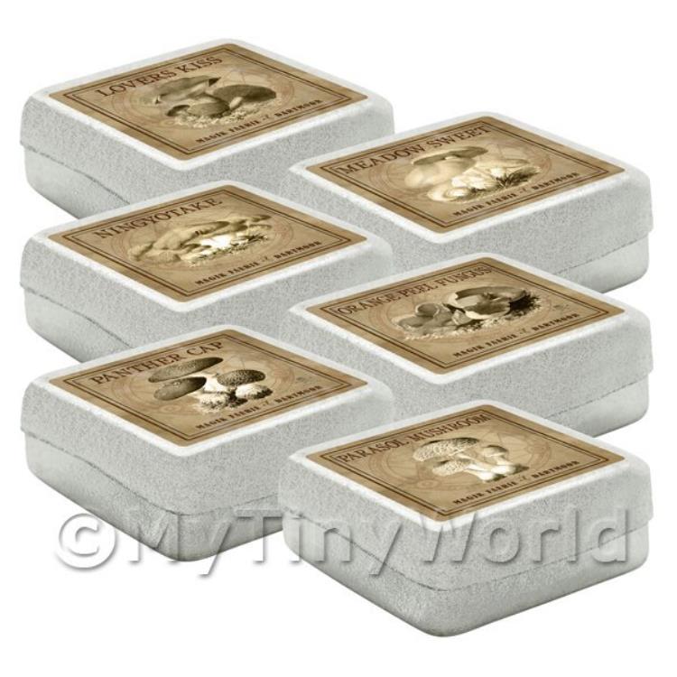 Dolls House Miniature Apothecary Fungi Square Sepia Box Set 4