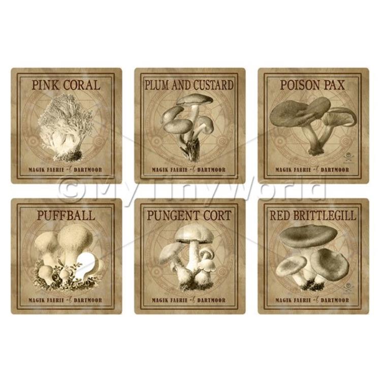 Dolls House Miniature Apothecary Fungi Square Sepia Box Label Set 6