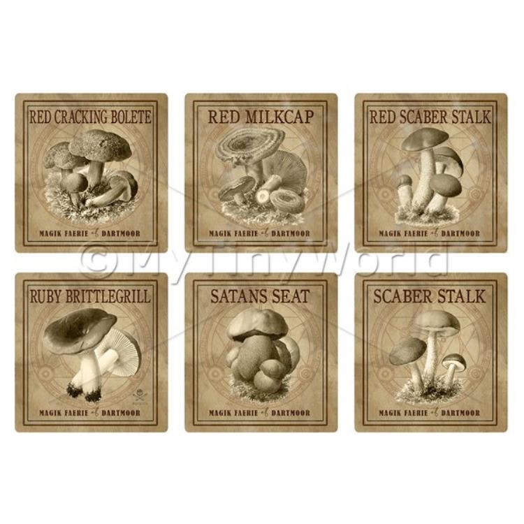Dolls House Miniature Apothecary Fungi Square Sepia Box Label Set 7