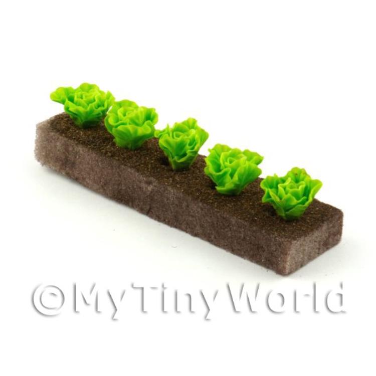 Strip of 5 Lettuces For The Allotment (GB12)