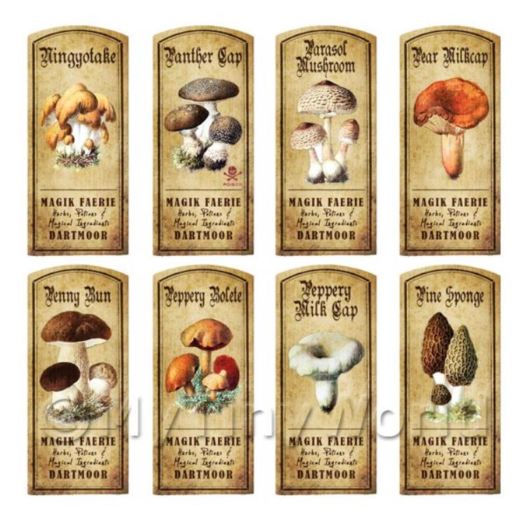 Dolls House Apothecary 8 Fungus / Mushroom Colour Labels Set 3