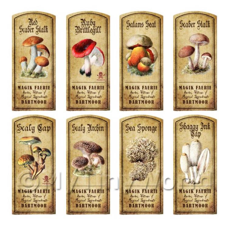 Dolls House Apothecary 8 Fungus / Mushroom Colour Labels Set 5