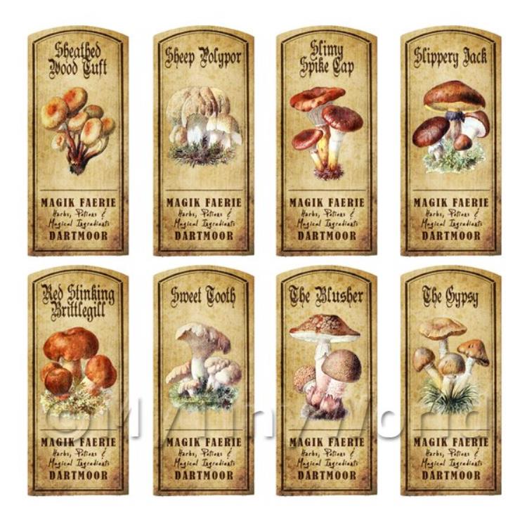 Dolls House Apothecary 8 Fungus / Mushroom Colour Labels Set 6